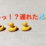 【ピアノも算数も】後から追いつけない！